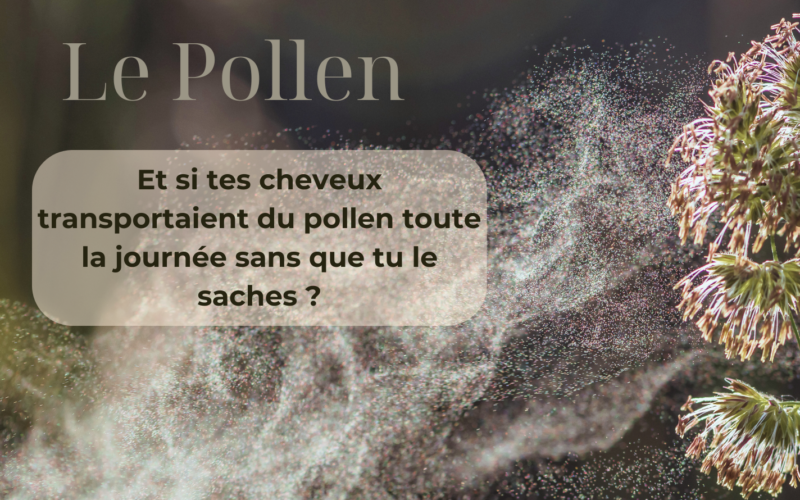 Le Pollen